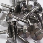 1 1/2" Stainless Steel Deck Bolts