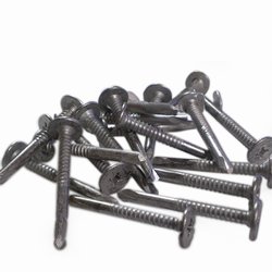 2"   410 Stainless Steel Deck Screws