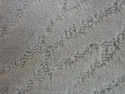 20oz Marine Grade Coast Line Carpet