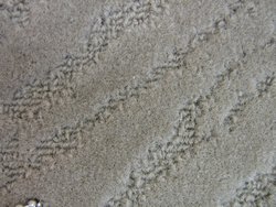 20oz Marine Grade Coast Line Carpet